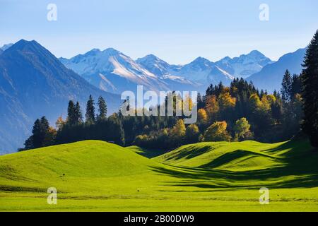 Allgaeu Alps near Oberstdorf, view from Schoellang, Oberallgaeu, Allgaeu, Swabia, Bavaria, Germany Stock Photo