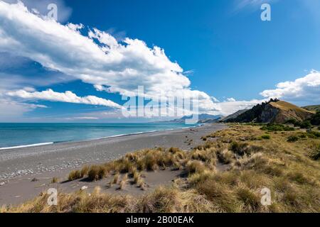 Sandy beach beach with grass near Kaikoura, Canterbury, South Island, New Zealand Stock Photo