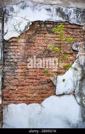 plain old aged white colored painted faded weathered textured pattern on cracked cement concrete house wall surface background. Detailed backdrop, abs Stock Photo