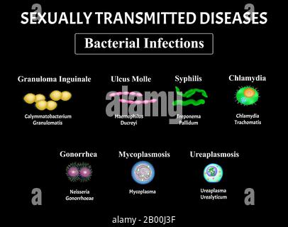 Syphilis, Spirochaete, Treponema, Gonococcus, Gonorrhea, Chlamydiosis ...