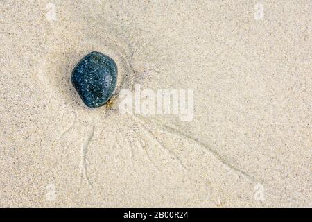 View from above of a pebble in the wet sand on the beach. Stock Photo