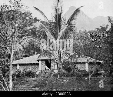 Sri Lanka: A coffee planters bungalow with eucalyptus and coconut trees. Photograph by Ernst Haeckel, early 20th century.  Ernst Heinrich Philipp August Haeckel (February 16, 1834 – August 9, 1919), also written von Haeckel, was an eminent German biologist, naturalist, philosopher, physician, professor and artist who discovered, described and named thousands of new species, mapped a genealogical tree relating all life forms, and coined many terms in biology, including anthropogeny, ecology, phylum, phylogeny, and the kingdom Protista. Stock Photo