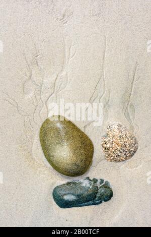View from above of three pebbles in the wet sand on the beach. Stock Photo