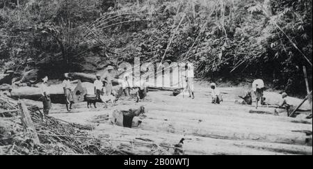 Burma/Myanmar: An 1898 photograph of teak logging at the Siamese-Burmese border.  Teak is a genus of tropical hardwood trees in the mint family, Lamiaceae, and is native to south and southeast Asia, mainly India, Pakistan, Bangladesh, Burma and Thailand. It is commonly found as a component of monsoon forest vegetation. They are large trees, growing to 30–40 m (90-120 ft.) tall, deciduous in the dry season. It is used in the manufacture of outdoor furniture, boat decks, flooring and other articles where weather resistance is desired. Stock Photo