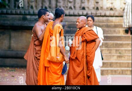 Sri Lanka: Monks at the sacred bodhi tree (Jaya Sri Maha Bodhi), Anuradhapura.  Jaya Sri Maha Bodhi is a Sacred Fig tree and is said to be a sapling from the historical Bodhi tree under which Buddha became enlightened. It was planted in 288 BCE, and is the oldest living human-planted tree in the world with a known planting date.  Anuradhapura is one of Sri Lanka's ancient capitals and famous for its well-preserved ruins. From the 4th century BCE until the beginning of the 11th century CE it was the capital. Stock Photo