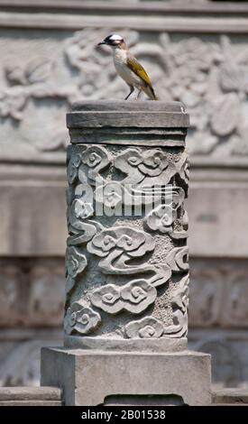 China: Chinese Bulbul perched on a pillar in Wenshu Yuan (Wenshu Temple), Chengdu, Sichuan Province.  The Light-vented Bulbul (Pycnonotus sinensis), also known as the Chinese Bulbul, is a bird and a member of the bulbul family.  Wenshu Yuan (Wenshu Temple) dates back to the Tang Dynasty (June 18, 618–June 4, 907), and was originally known as Xinxiang Temple. It is now a popular Zen Buddhist temple.  Chengdu, known formerly as Chengtu, is the capital of Sichuan province in Southwest China. Stock Photo