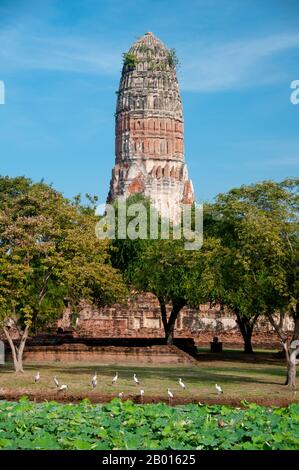 Thailand: The magnificent Khmer-style prang at Wat Phra Ram, Ayutthaya Historical Park.  Wat Phra Ram was built in the 14th century supposedly on King Ramathibodi's cremation site. The prang dates from the reign of King Borommatrailokanat (r. 1448-1488).  Ayutthaya (Ayudhya) was a Siamese kingdom that existed from 1351 to 1767. Ayutthaya was friendly towards foreign traders, including the Chinese, Vietnamese (Annamese), Indians, Japanese and Persians, and later the Portuguese, Spanish, Dutch and French, permitting them to set up villages outside the city walls. Stock Photo