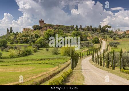 Landscape with a cypresses lined path to Palazzo Massaini, an architectural complex located on a hillside near Pienza town in Tuscany, Italy. Stock Photo