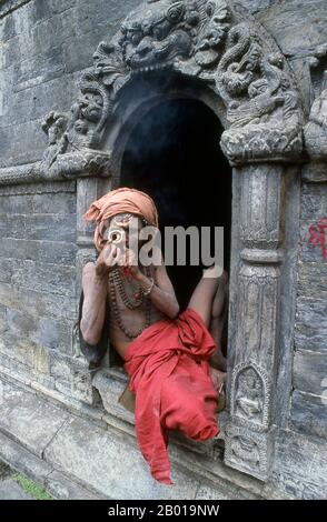 Nepal: Hashish-smoking sadhu, Pashupatinath, Kathmandu.  They are known, variously, as sadhus (saints, or 'good ones'), yogis (ascetic practitioners), fakirs (ascetic seeker after the Truth) and sannyasins (wandering mendicants and ascetics). They are the ascetic – and often eccentric – practitioners of an austere form of Hinduism. Sworn to cast off earthly desires, some choose to live as anchorites in the wilderness. Others are of a less retiring disposition, especially in the towns and temples of Nepal's Kathmandu Valley. Stock Photo