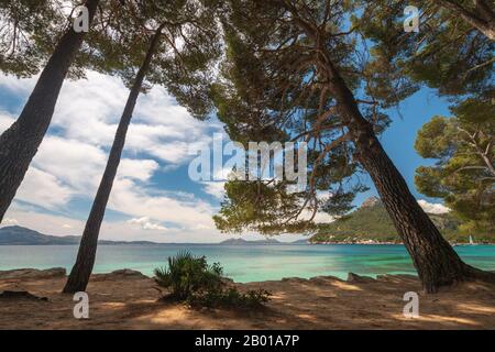 Platja de Formentor beach on the balearic island of Majorca (Mallorca), Spain Stock Photo