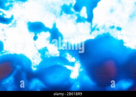 backgrouds made fron taking a photo of pigment in nylon bag on lighted background Stock Photo