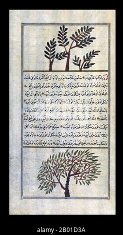 Persia: A frankincense tree above an almond tree, after a treatise by Zakariya ibn Muhammad al-Qazwini (1203-1283 CE), 1717 CE.  Abu Yahya Zakariya' ibn Muhammad al-Qazwini (1203-1283) was a Persian physician, astronomer, and geographer from the Persian town of Qazvin. He served as legal expert and judge (qadi) in several localities in Persia and at Baghdad. He travelled around in Mesopotamia and Syria, and finally entered the circle patronized by the governor of Baghdad, ‘Ata-Malik Juwayni (d. 1283 CE). Stock Photo