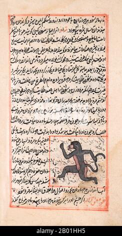 Iran/Persia: Illustration from Zakarīyā ibn Muḥammad al-Qazwīnī, ‘Ajā’ib al-makhlūqāt wa-gharā’ib al-mawjūdāt (Marvels of Things Created and Miraculous Aspects of Things Existing) c. 1250 CE.  Abu Yahya Zakariya' ibn Muhammad al-Qazwini (1203-1283), was a Persian physician, astronomer, geographer and proto-science fiction writer.  Born in the Persian town of Qazvin, he served as legal expert and judge (qadhi) in several localities in Persia and at Baghdad. He travelled around in Mesopotamia and Syria, and finally entered the circle patronised by the governor of Baghdad. Stock Photo