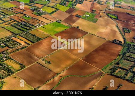 field landscape around Vilafranca de Bonany, 09.01.2020, aerial view, Spain, Balearic Islands, Majorca, Vilafranca de Bonany Stock Photo