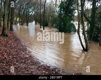 Flooded woodland footpath River Wye at Hay on Wye the river reached it's highest level of 5.05 metres recorded on the local river height gauge Stock Photo