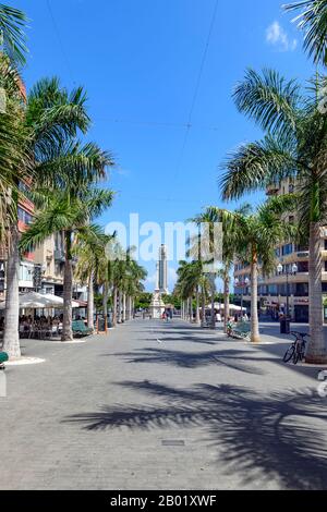 Islands. Plaza de la Candelaria. Picturesque palm tree lined pedestrianised street road Santa Cruz de Tenerife. Stock Photo