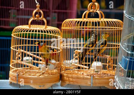 China: Birds for sale at the Bird and Flower Market in the Old Muslim Quarter on Jingxing Road off Zheng Yi Road, Kunming, Yunnan Province.  Built on the banks of Lake Dian and surrounded by limestone mountains, Kunming was an important ancient trade route between Tibet, China and Southeast Asia. The city, then called Yunnanfu, suffered at the hands of rebel leader Du Wenxiu, the Sultan of Dali, who attacked and besieged the city several times between 1858 and 1868, razing most of the city's Buddhist temples. Stock Photo