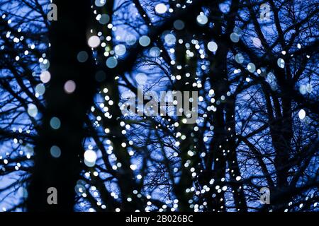 Out-of-focus Christmas lights on trees in the Sele, Hexham, Northumberland, England Stock Photo