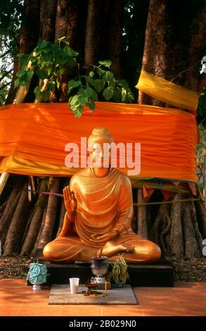 The Buddhist temple of Wat Chet Yot (Jet Yod) was constructed in 1455 CE by King Tilokarat in the style of the Mahabodhi temple in Bodh Gaya, India. Bodh Gaya was where Siddhartha Gautama, the Buddha, attained enlightenment.  Chiang Mai, sometimes written as 'Chiengmai' or 'Chiangmai', is the largest and most culturally significant city in northern Thailand, and is the capital of Chiang Mai Province. It is located 700 km (435 mi) north of Bangkok, among the highest mountains in the country. The city is on the Ping river, a major tributary of the Chao Phraya river.  King Mengrai founded the cit Stock Photo