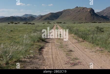 Kalahari, desert landscape in Namibia after the rain Stock Photo