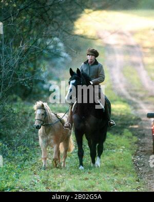 HRH Princess Anne riding near the stables at the Queen's Sandringham Estate, Norfolk, England January 1984
