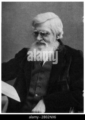 Alfred Russel Wallace OM FRS (8 January 1823 – 7 November 1913) was a British naturalist, explorer, geographer, anthropologist, and biologist. He is best known for independently conceiving the theory of evolution through natural selection; his paper on the subject was jointly published with some of Charles Darwin's writings in 1858. This prompted Darwin to publish his own ideas in On the Origin of Species.  Wallace did extensive fieldwork, first in the Amazon River basin and then in the Malay Archipelago, where he identified the faunal divide now termed the Wallace Line, which separates the In Stock Photo