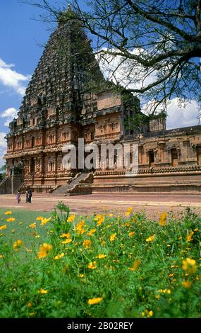The Brihadeeswarar Temple is a large Hindu temple dedicated to the god Shiva. The temple was completed in 1010 CE by the Chola Dynasty emperor Raja Raja Chola I (r. 985 - 1014 CE), one of the greatest Indian emperors. Stock Photo