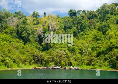 Cheow Lan Lake was created by the construction of  Rajjabrapha Dam in 1982, and is also known as Rajjabrapha Lake. Karst outcrops isolated from the mainland by the flooding rise from the waters of the lake to almost 1,000 m (3,000 feet) in height – that is, about three times the height of similar karst outcrops at Phang Nga Bay. Gibbons and eagles have access to these isolated peaks, but they are inaccessible to all but the most intrepid of climbers and provide a wonderful haven for rare wildlife.  Khao Sok National Park forms the largest and most dramatic tract of virgin forest in southern Th Stock Photo