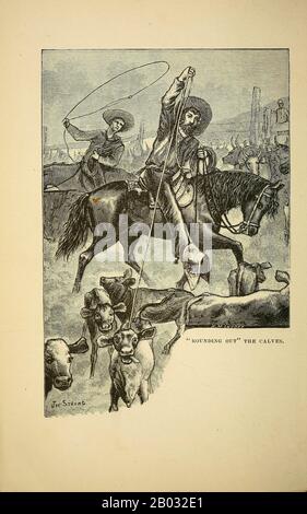 Cattle in a corral from The beef bonanza; or, How to get rich on the plains. Being a description of cattle-growing, sheep-farming, horse-raising, and dairying in the West by General Brisbin, James S. (James Sanks), 1837-1892. Published in Philadelphia, USA in 1882 Stock Photo