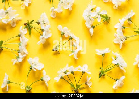 Spring blossom pattern on yellow background Stock Photo