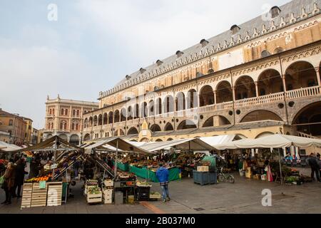 Vegetable market at the Palazzo della Ragione in Padova / Padua, Italy Stock Photo