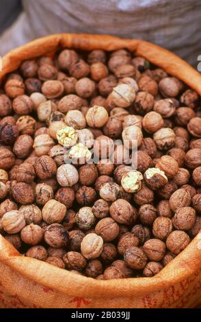 A walnut is an edible seed of any tree of the genus Juglans (Family Juglandaceae), especially the Persian or English walnut, Juglans regia. Broken nutmeats of the eastern black walnut from the tree Juglans nigra are also commercially available in small quantities, as are foods prepared with butternut nutmeats from Juglans cinerea.  Walnuts are rounded, single-seeded stone fruits of the walnut tree. The walnut fruit is enclosed in a green, leathery, fleshy husk. This husk is inedible. After harvest, the removal of the husk reveals the wrinkly walnut shell, which is in two halves. This shell is Stock Photo