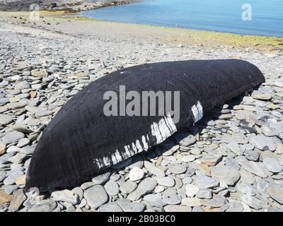 Traditional Irish curragh - canvas covered boat painted with tar - upturned on Scotchport beach, the Mullet, Erris, Co. Mayo, Ireland Stock Photo