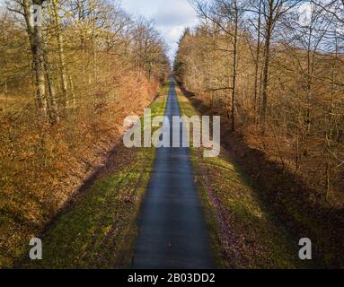 Aerial view of forest road Stock Photo