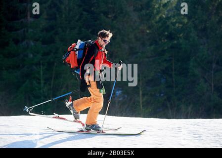 Happy smiling male traveler with backpack in bright clothing traveling on skis in snow on background of green spruce trees on sunny cold day. Sport and recreation, active winter holiday concept. Stock Photo