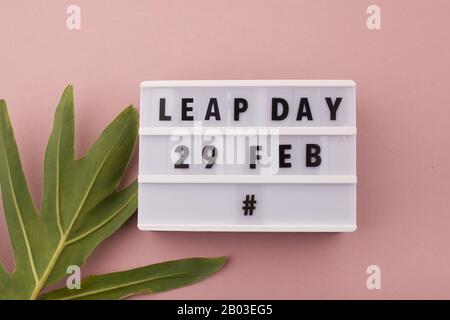 White block calendar present date 29 and month February and plant on pink background. Leap day Stock Photo