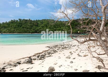 Small rocks scattered on beach sand close up. Summer holiday beach background. Stock Photo