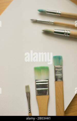 Used different brushes for painting on the white paper. Stock Photo