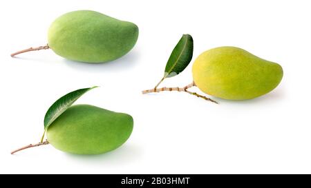 isolated collection green mango fruit on white background Stock Photo
