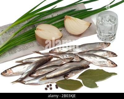 Sprat spicy salting in a plate, onions and green onions on the newspaper, glass of vodka Stock Photo