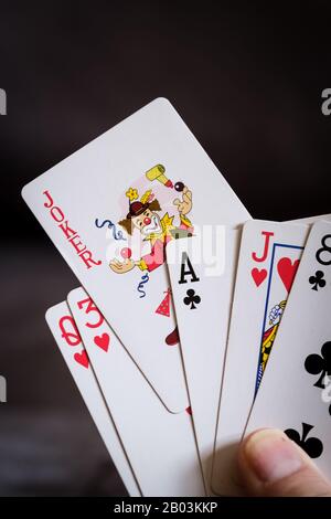 The Joker in the Pack Stock Photo