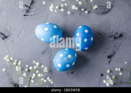 Bright blue polka dot eggs with white spring flowers on a gray background. Festive Easter card. Stock Photo