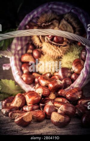 basket with freshly picked chestnuts Stock Photo