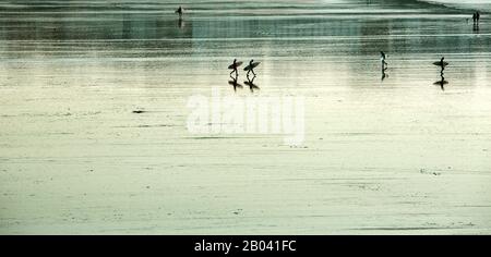 Surfers with surfboards mirrored and reflected on wet sand at Fistral Beach, Newquay, The Cornish Coast, England Stock Photo