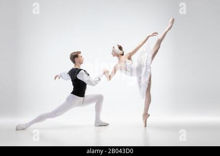 Premium Photo | Two athletic modern ballet dancers are posing against a  gray studio background.