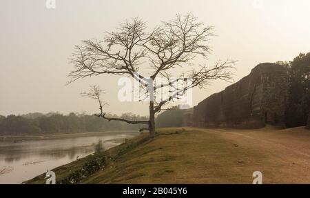 A lone leafless tree stands between the banks of a lake and the ancient Baishgazi wall in the archaeological site of Gour. Stock Photo
