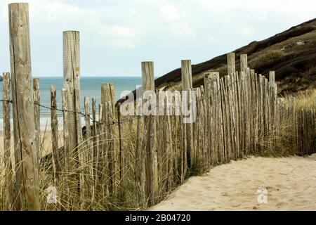 A sandy path on a dune next to the sea with wooden palings fence and marram grass, South West Coast Path, Rock, Cornwall, England Stock Photo