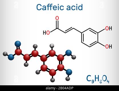 Caffeic acid, C9H8O4 molecule. It is hydroxycinnamic acid with antioxidant, anti-inflammatory, antineoplastic activities, is a key intermediate in bio Stock Vector