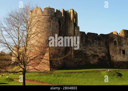 Chepstow Castle with Marten's Tower to the left, in Monmouthshire, Wales. It is located on the top of clifftops overlooking the River Wye. Stock Photo