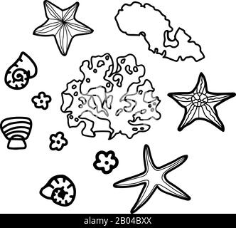 Set with ocean seaweed, starfish, shells in doodle style isolated on white background.Underwater. Vector outline illustration. Stock Vector